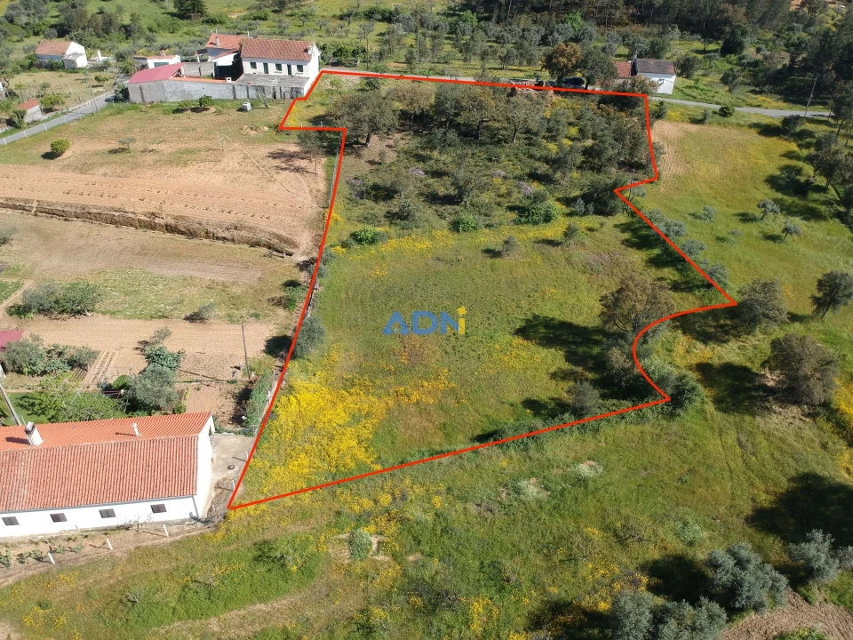 Terreno para Venda em Sarzedas Foto 1