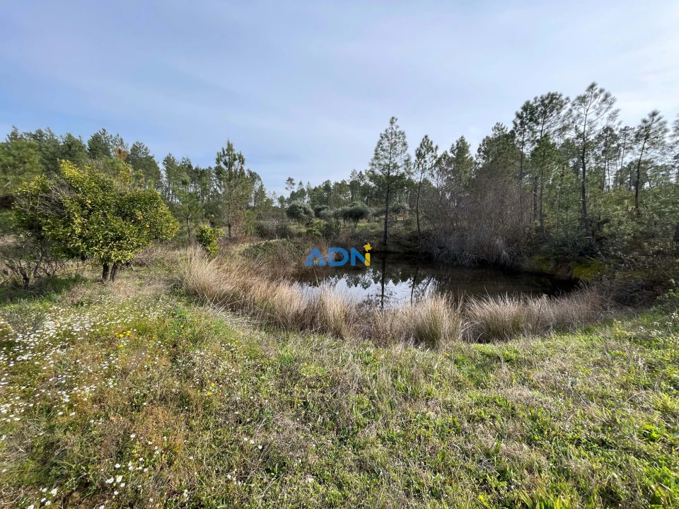 Terreno para Venda em Sarzedas Foto 9
