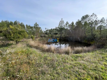 Terreno para Venda em Sarzedas