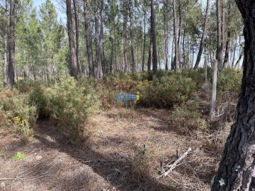 Terreno para Venda em Sarzedas
