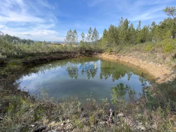 Terreno para Venda em Sarzedas