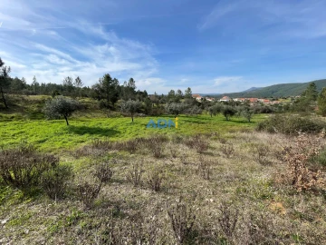 Terreno para Venda em Sarzedas
