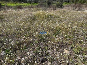 Terreno para Venda em Sarzedas