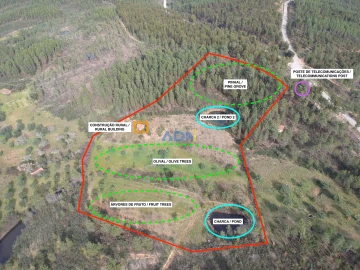 Terreno para Venda em Sarzedas