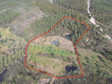 Terreno para Venda em Sarzedas