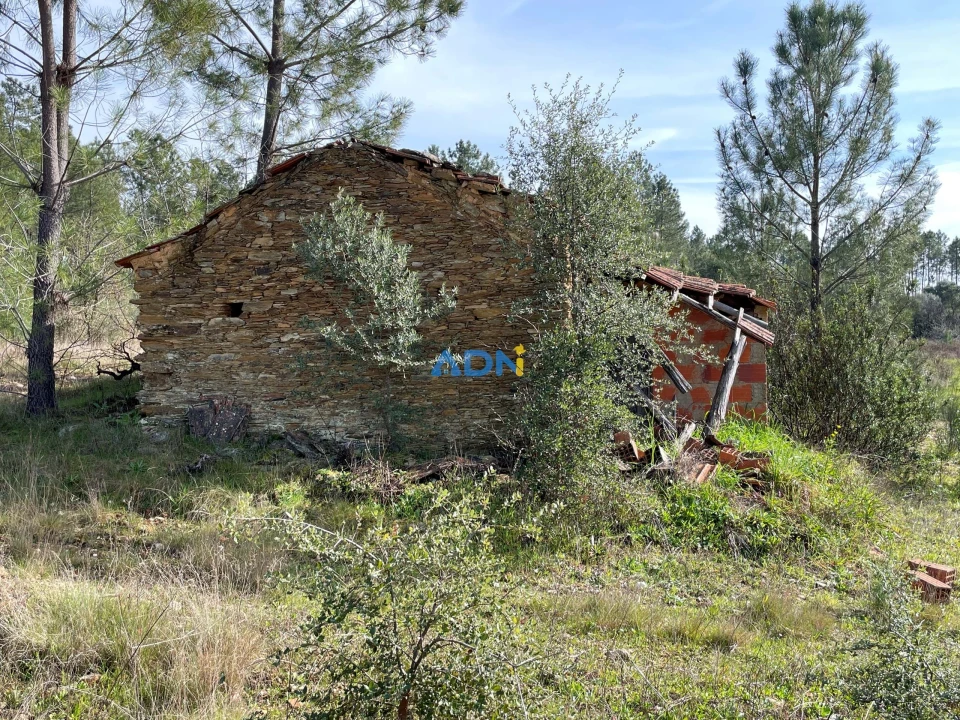 Terreno para Venda em Sarzedas Foto 16