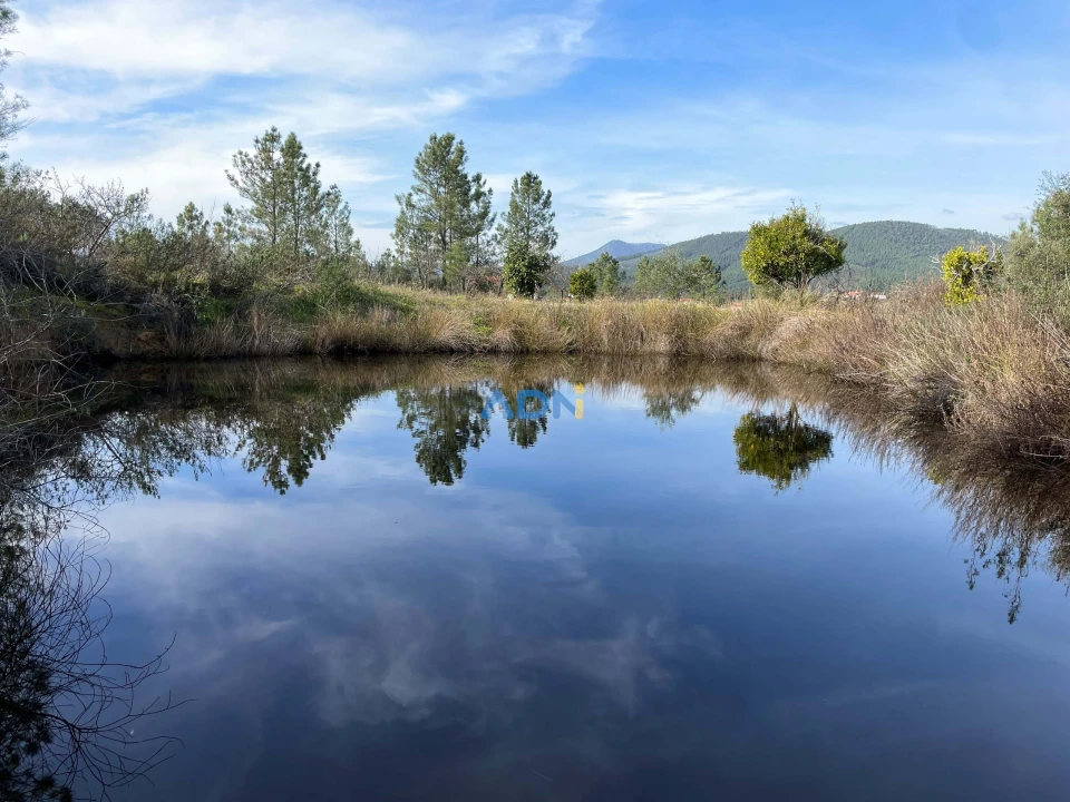 Terreno para Venda em Sarzedas Foto 10