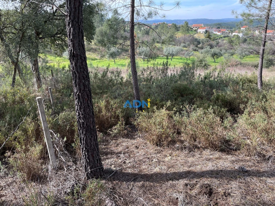 Terreno para Venda em Sarzedas Foto 24