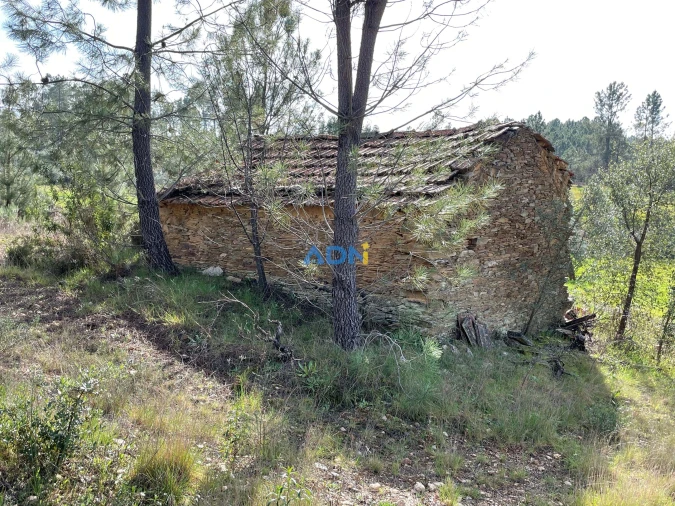 Terreno para Venda em Sarzedas Foto 17