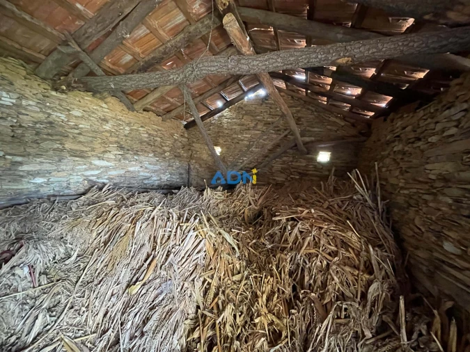 Terreno para Venda em Sarzedas Foto 18