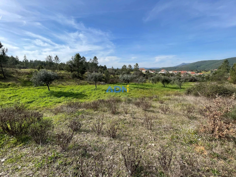 Terreno para Venda em Sarzedas Foto 13