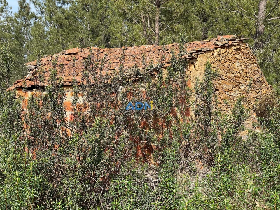 Terreno para Venda em Sarzedas Foto 15