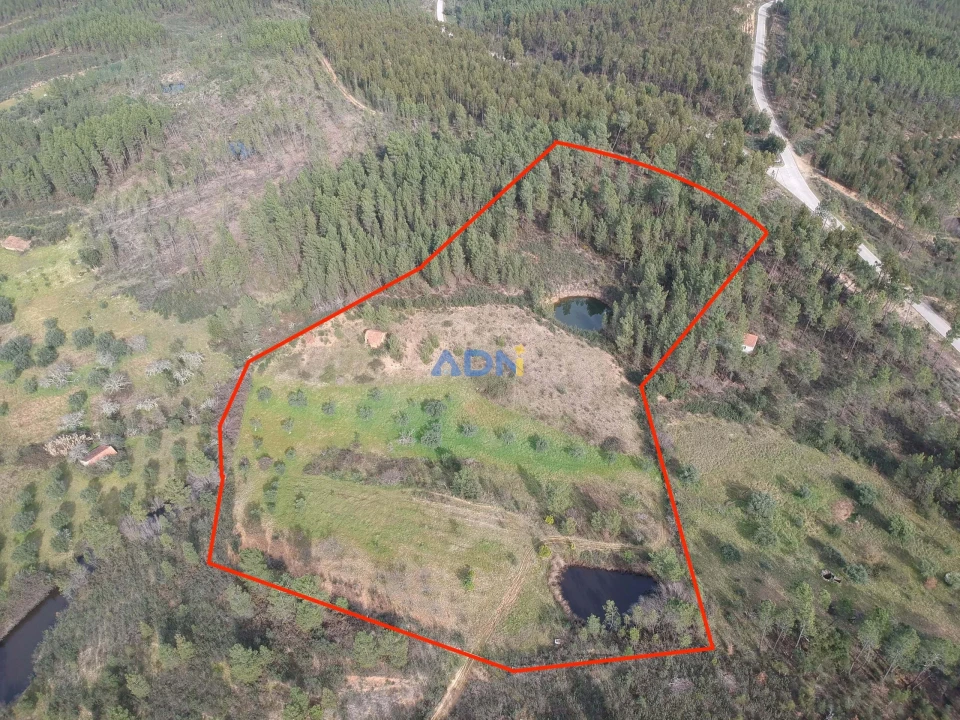 Terreno para Venda em Sarzedas Foto 1