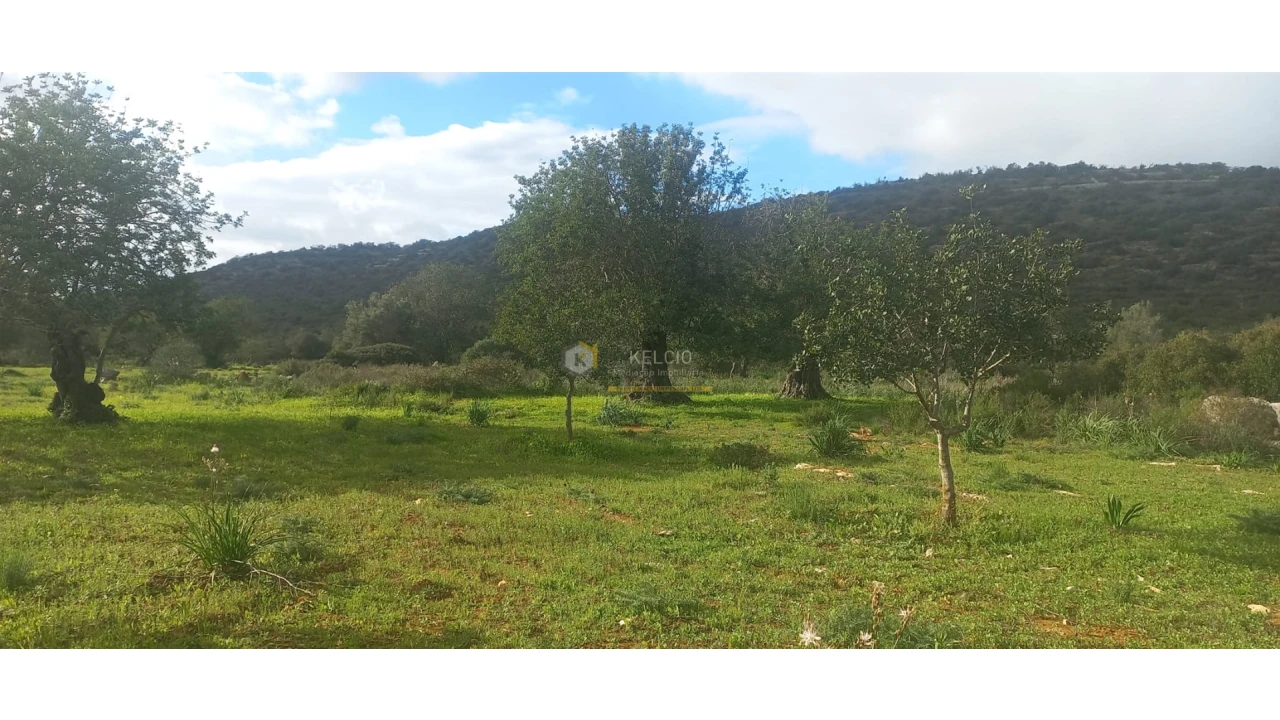 Terreno Agricola ou Rústico para Venda em Boliqueime Foto 4