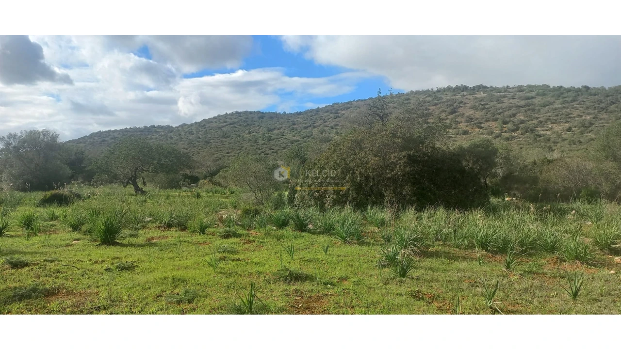 Terreno Agricola ou Rústico para Venda em Boliqueime Foto 7