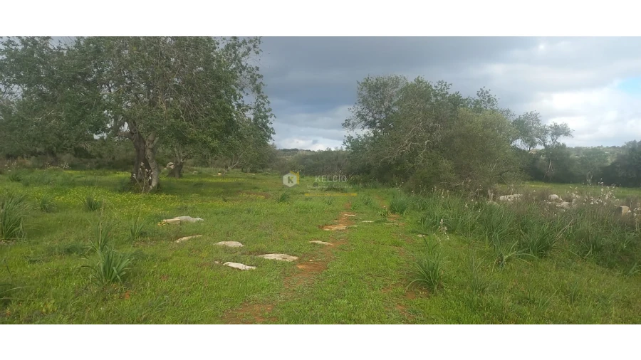Terreno Agricola ou Rústico para Venda em Boliqueime