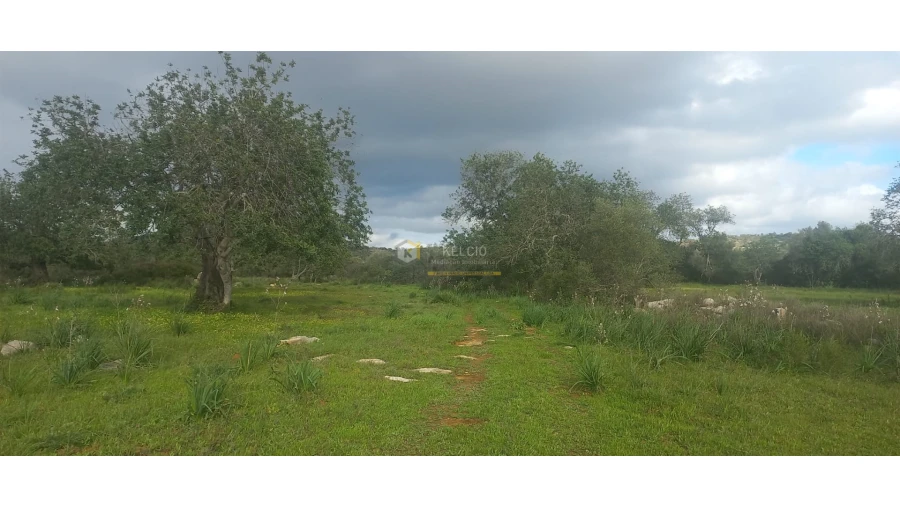 Terreno Agricola ou Rústico para Venda em Boliqueime Foto 6