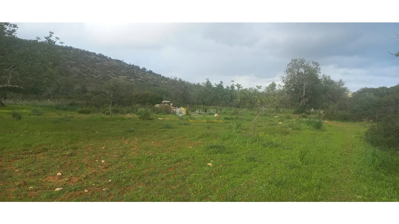Terreno Agricola ou Rústico para Venda em Boliqueime Foto 3