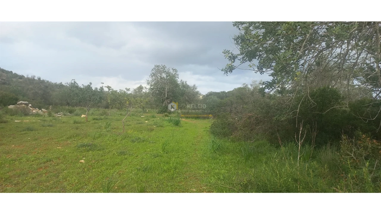 Terreno Agricola ou Rústico para Venda em Boliqueime Foto 2