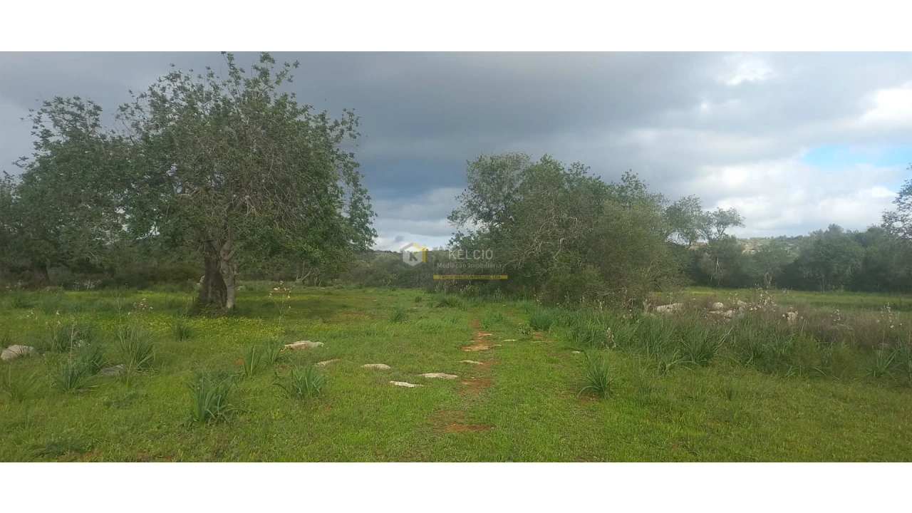 Terreno Agricola ou Rústico para Venda em Boliqueime Foto 6