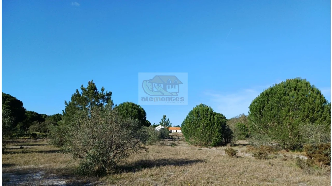 Terreno Misto para Venda em Grândola e Santa Margarida da Serra Foto 4