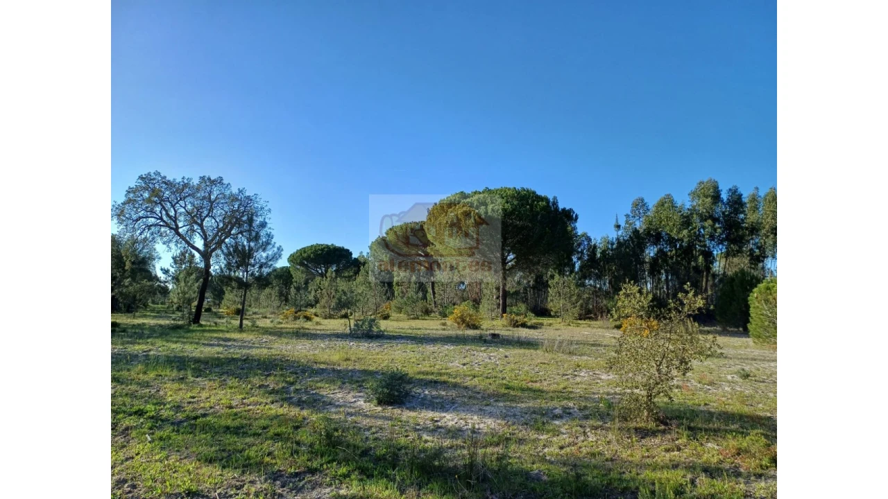 Terreno Misto para Venda em Grândola e Santa Margarida da Serra Foto 12