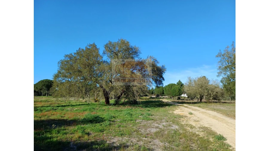 Terreno Misto para Venda em Grândola e Santa Margarida da Serra Foto 10