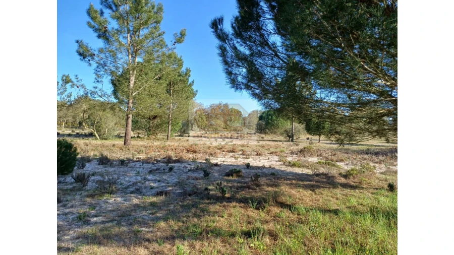 Terreno Misto para Venda em Grândola e Santa Margarida da Serra Foto 11