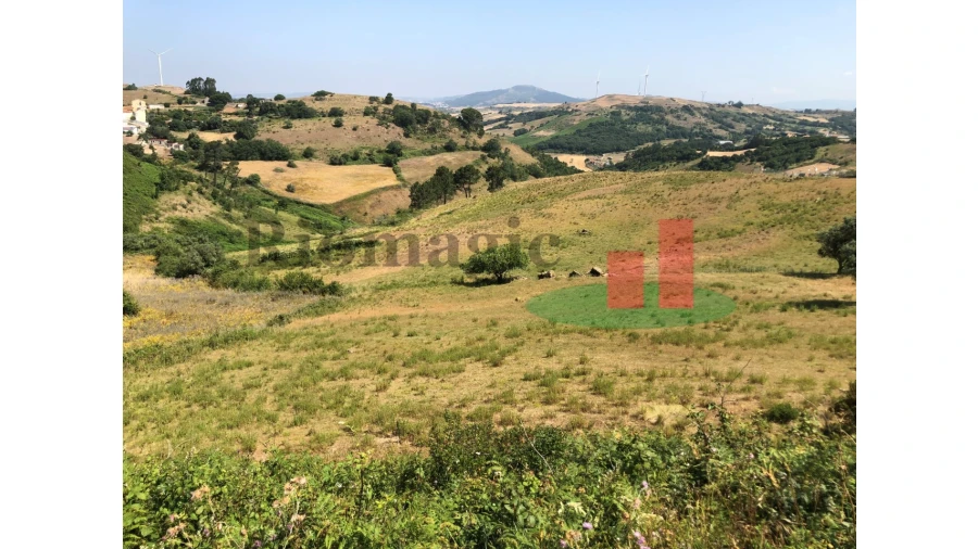 Terreno para Venda em Sapataria Foto 1
