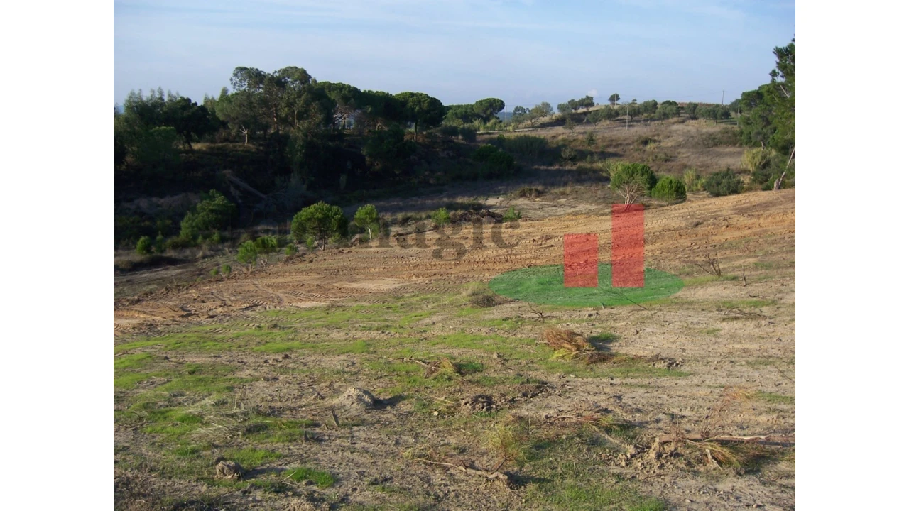 Terreno para Venda em Aveiras de Cima Foto 7