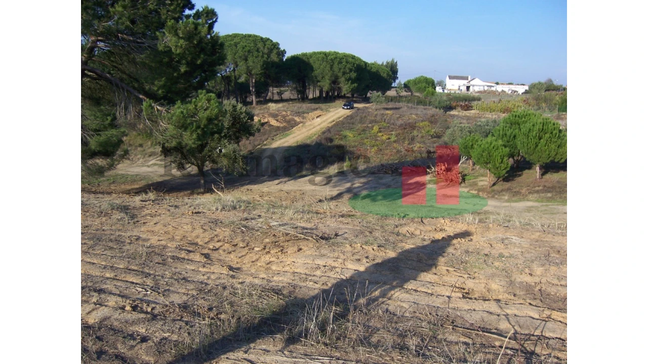 Terreno para Venda em Aveiras de Cima Foto 12
