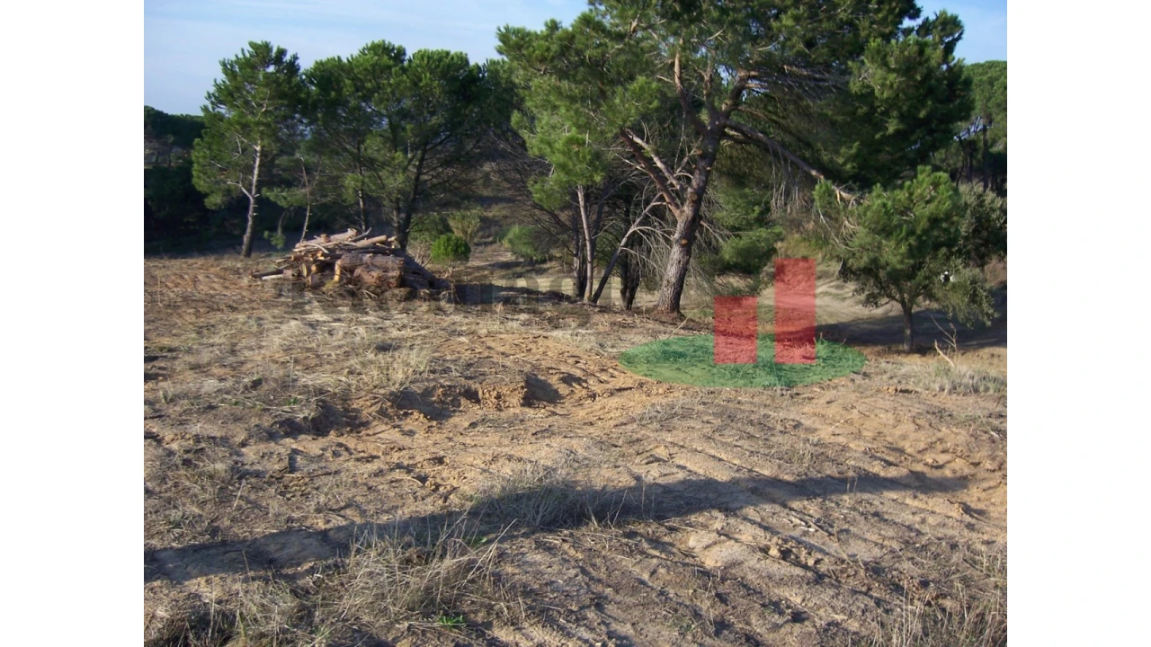 Terreno para Venda em Aveiras de Cima Foto 11