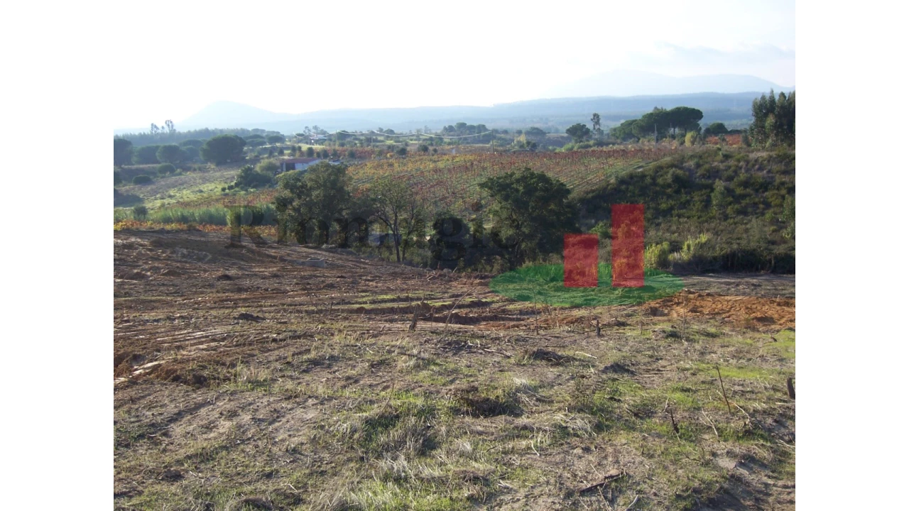 Terreno para Venda em Aveiras de Cima Foto 15