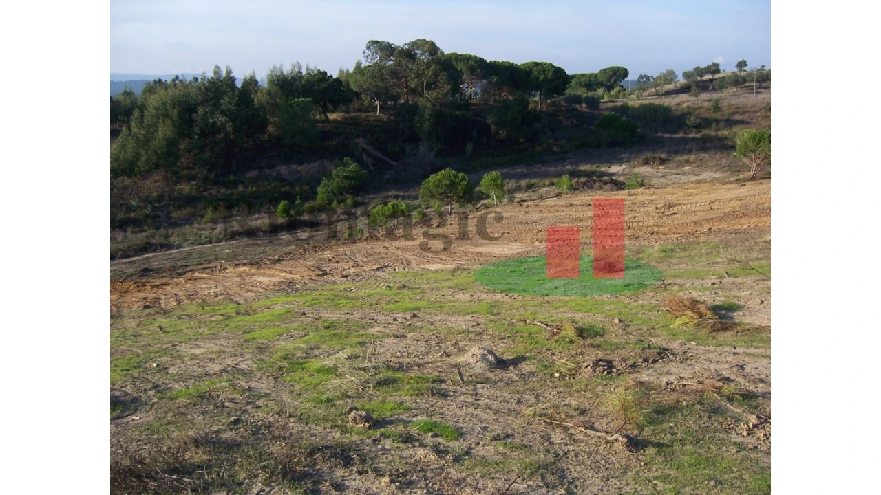 Terreno para Venda em Aveiras de Cima Foto 17