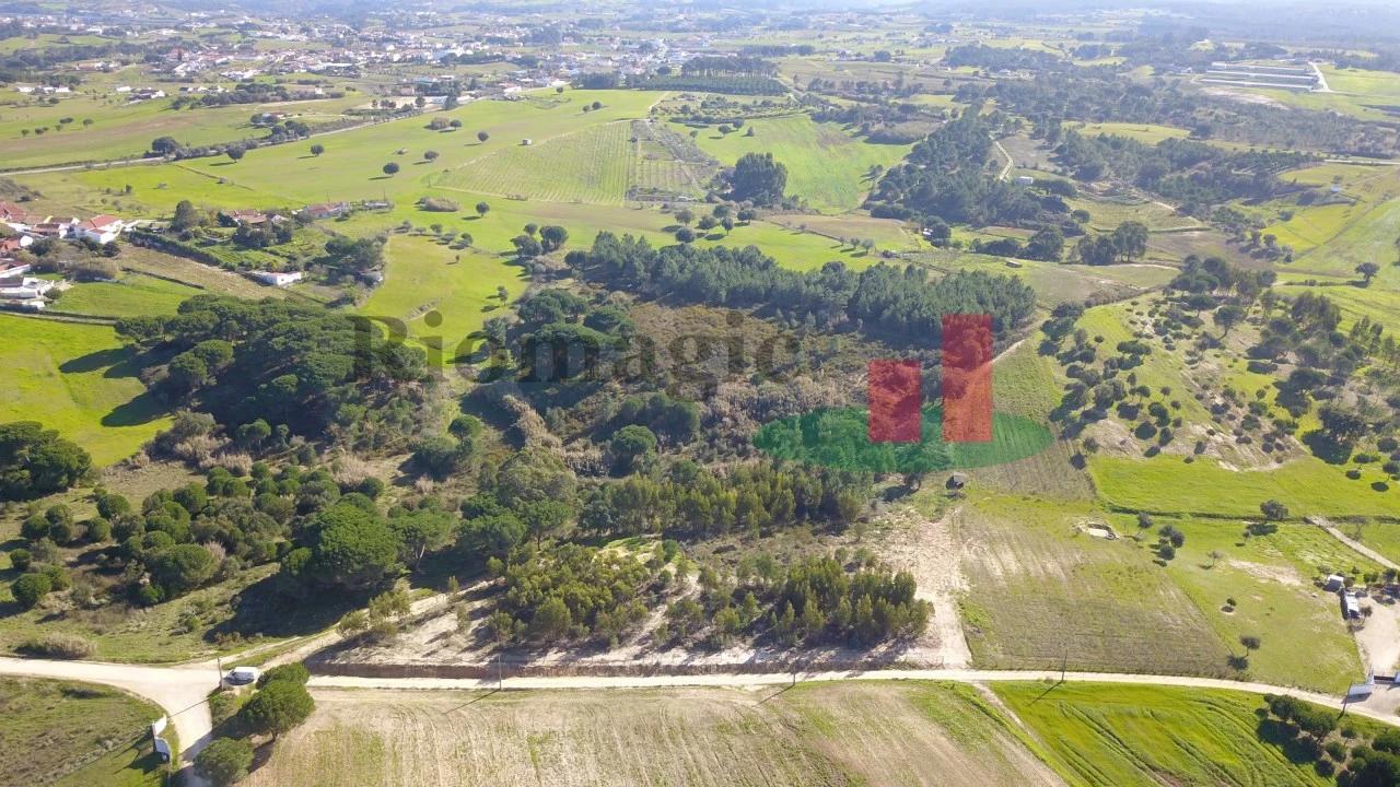 Terreno para Venda em Aveiras de Cima Foto 3