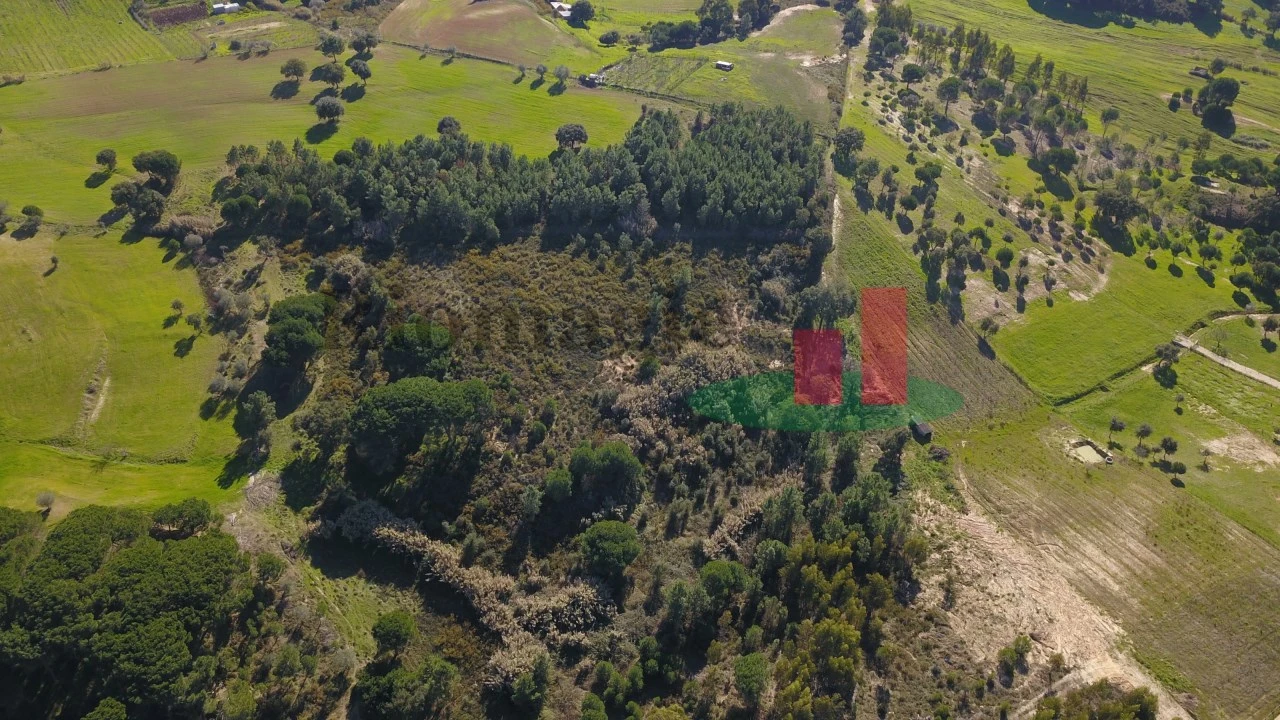 Terreno para Venda em Aveiras de Cima Foto 31