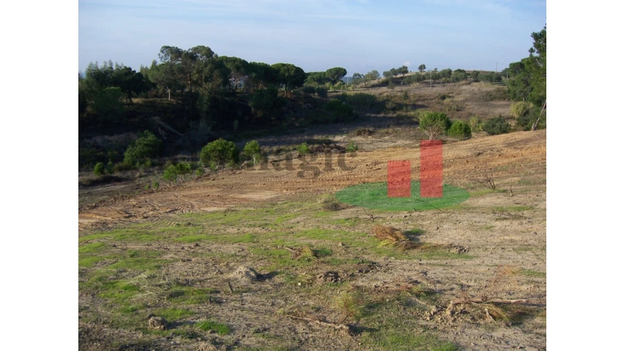Terreno para Venda em Aveiras de Cima Foto 7