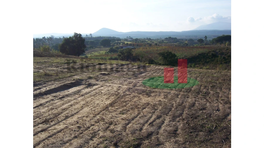 Terreno para Venda em Aveiras de Cima