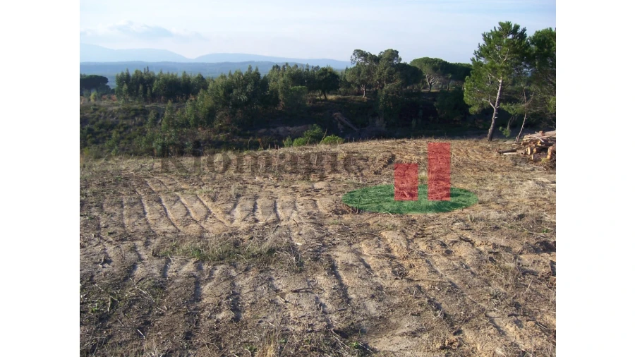 Terreno para Venda em Aveiras de Cima Foto 10