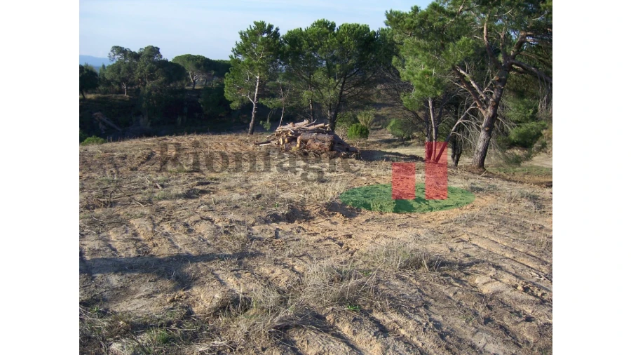 Terreno para Venda em Aveiras de Cima Foto 13