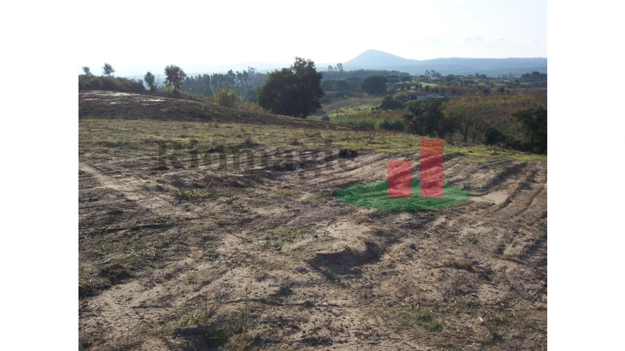 Terreno para Venda em Aveiras de Cima Foto 14