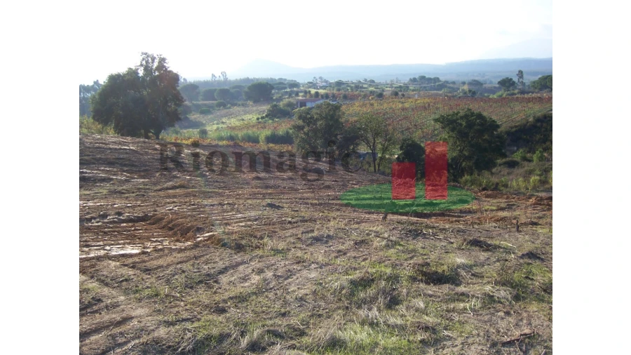 Terreno para Venda em Aveiras de Cima Foto 16