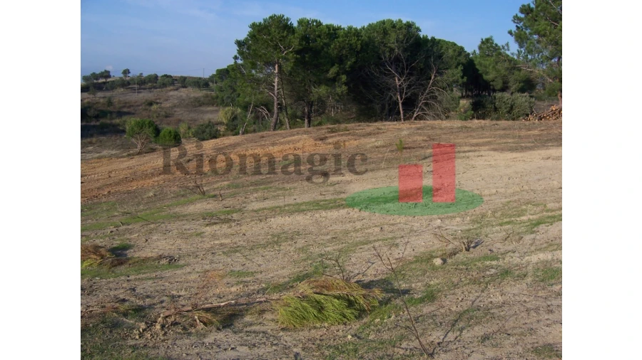 Terreno para Venda em Aveiras de Cima Foto 18