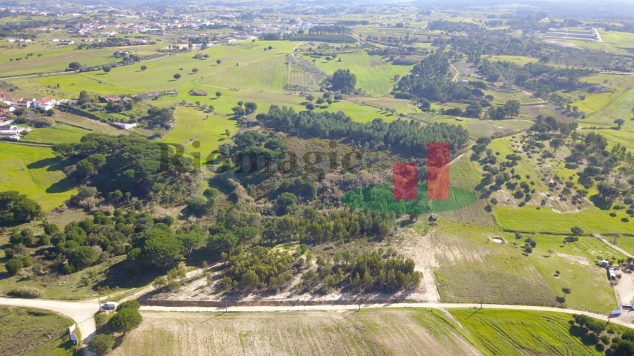 Terreno para Venda em Aveiras de Cima Foto 3