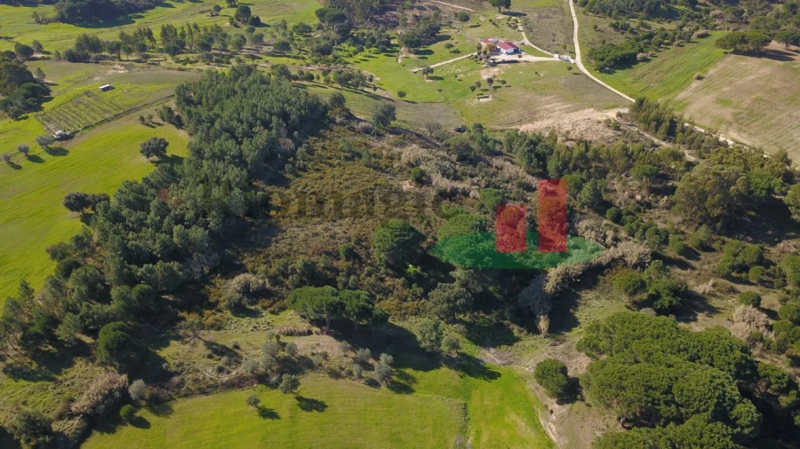 Terreno para Venda em Aveiras de Cima Foto 26