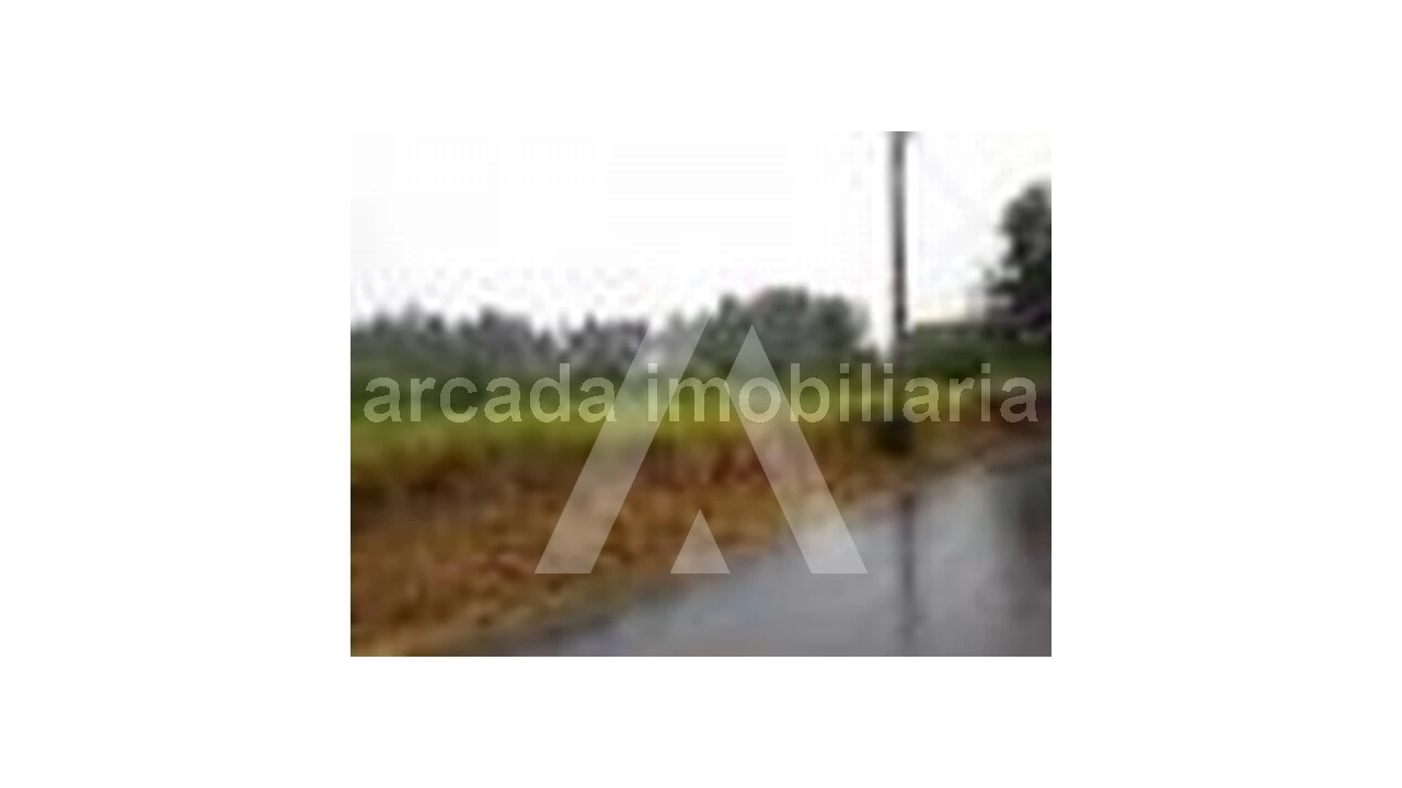 Terreno para Venda em Requeixo, Nossa Senhora de Fátima e Nariz Foto 2