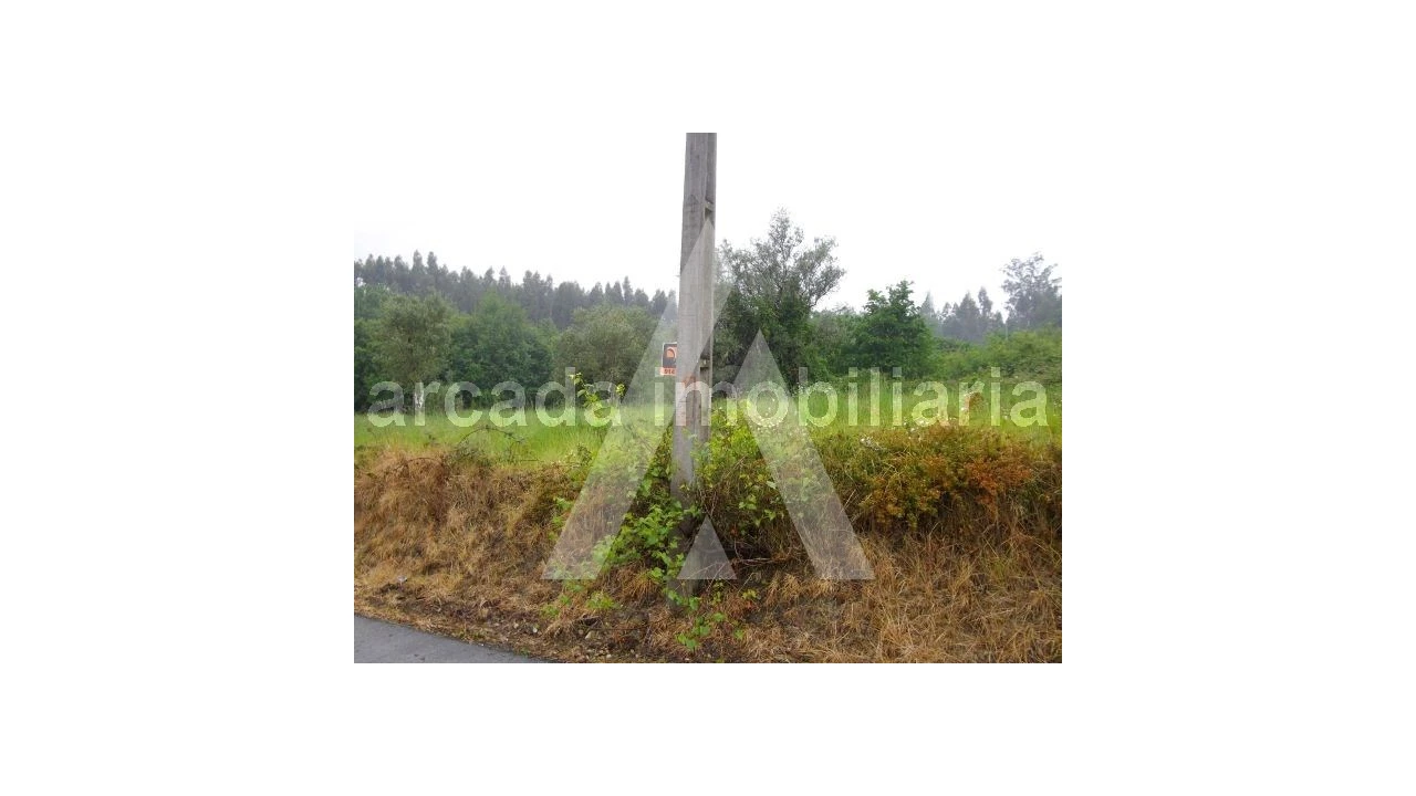 Terreno para Venda em Requeixo, Nossa Senhora de Fátima e Nariz Foto 4