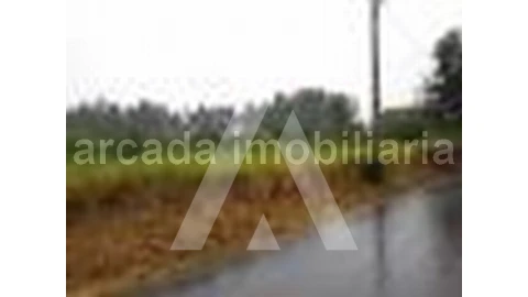 Terreno para Venda em Requeixo, Nossa Senhora de Fátima e Nariz