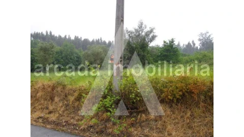 Terreno para Venda em Requeixo, Nossa Senhora de Fátima e Nariz