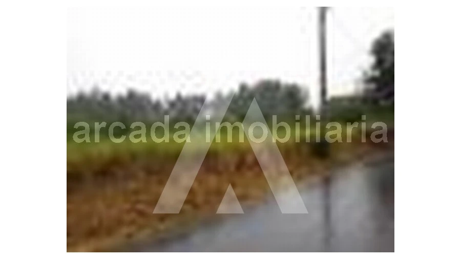 Terreno para Venda em Requeixo, Nossa Senhora de Fátima e Nariz Foto 2